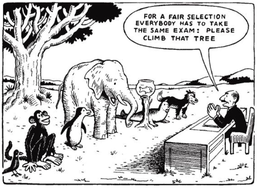 PL framework image